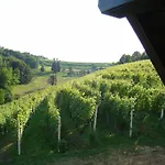 Cesnovar