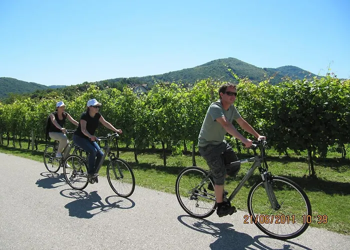 Semesterbostad Cesnovar *